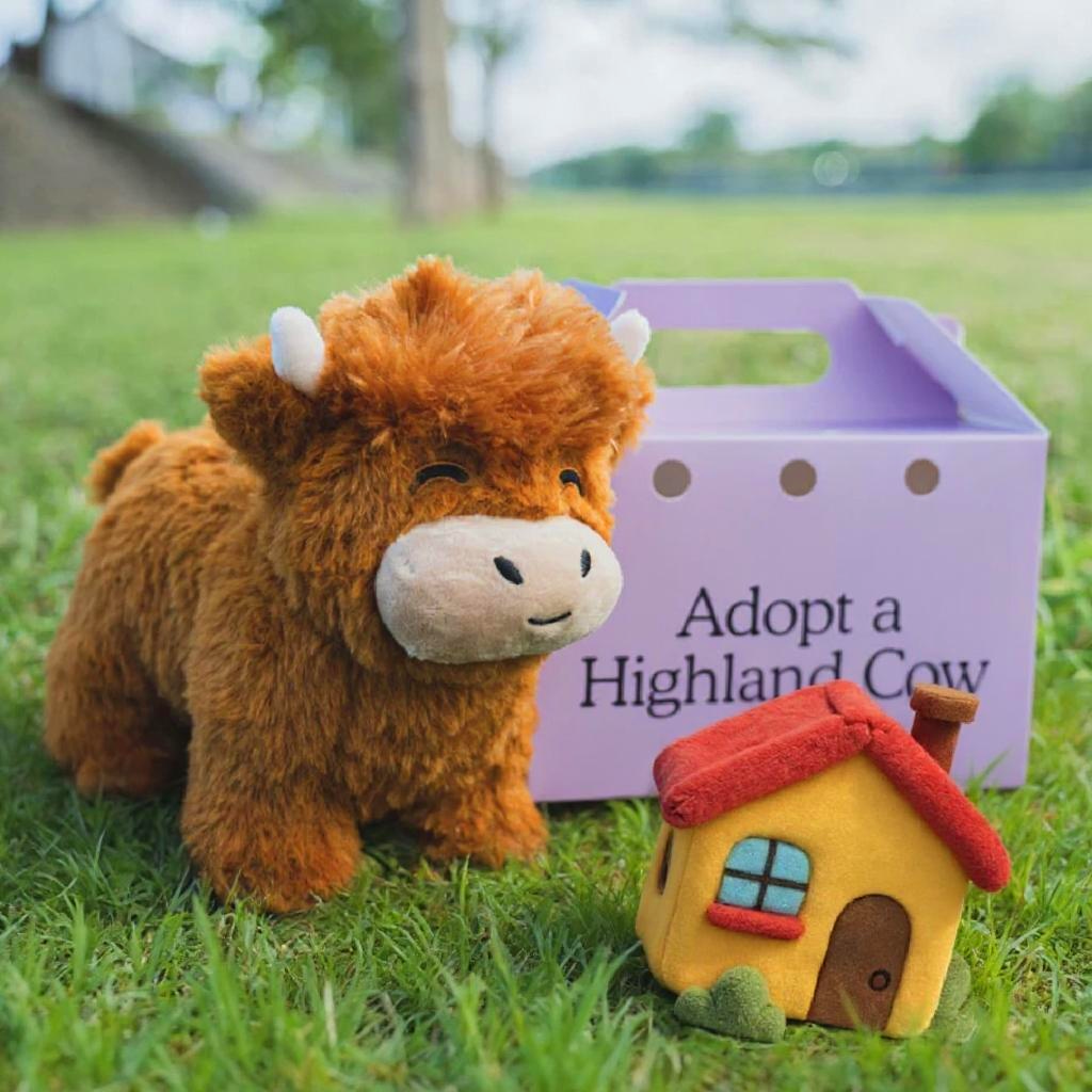 Introvert Highland Cow <3