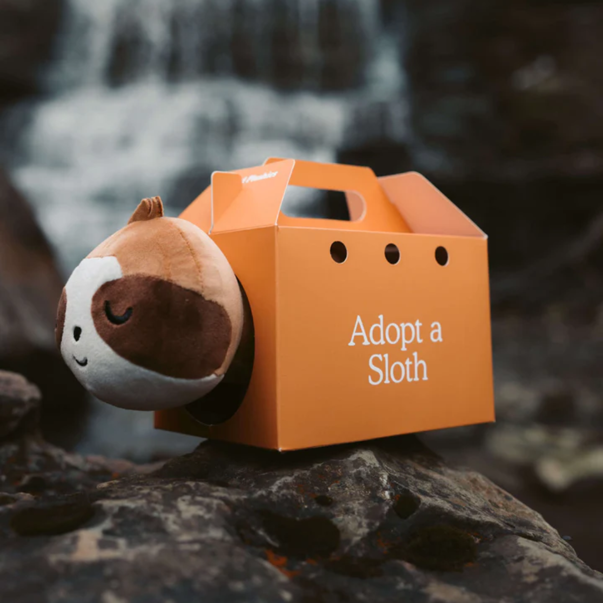 Sleepy Sloth