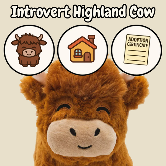 Introvert Highland Cow <3