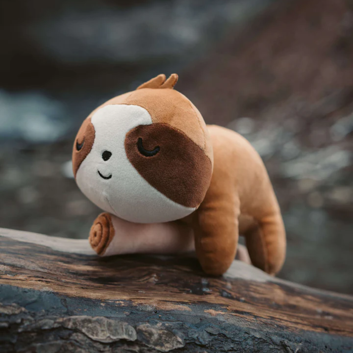 Sleepy Sloth