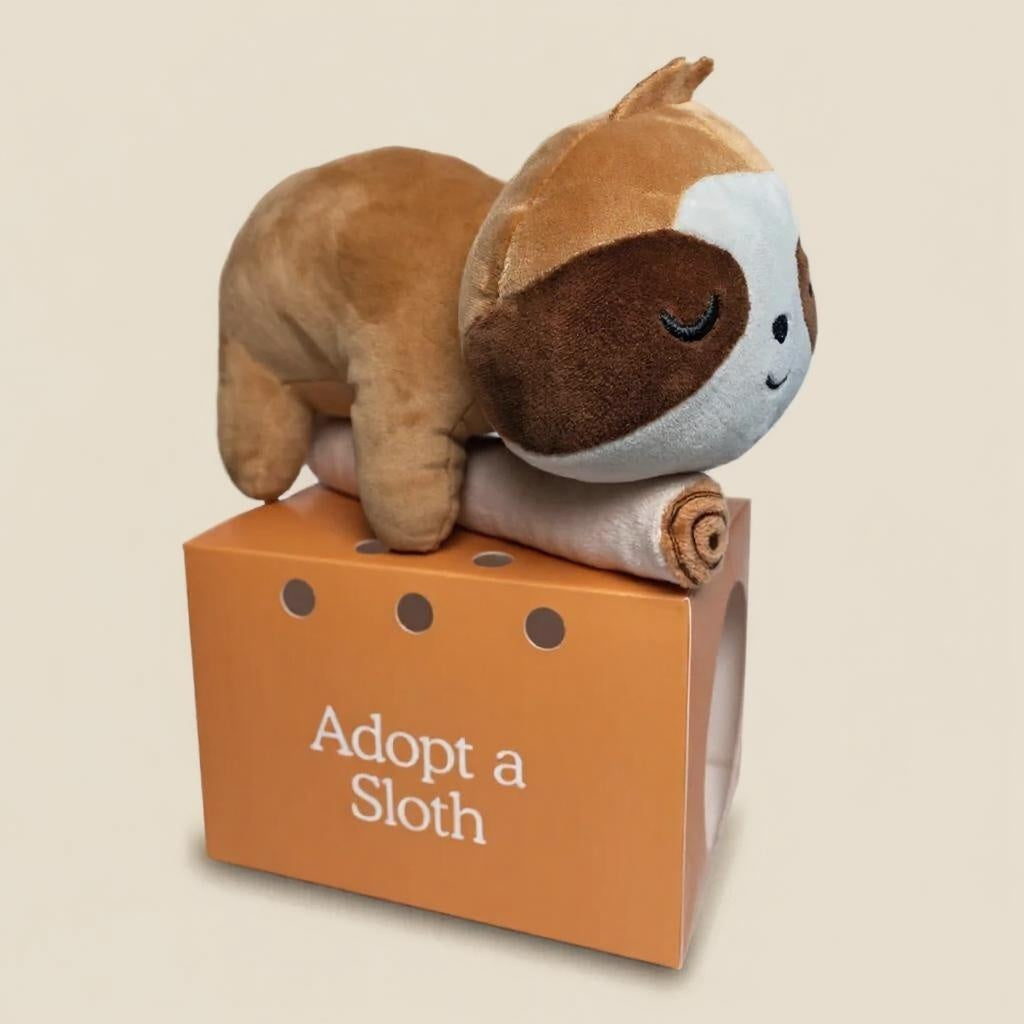 Sleepy Sloth